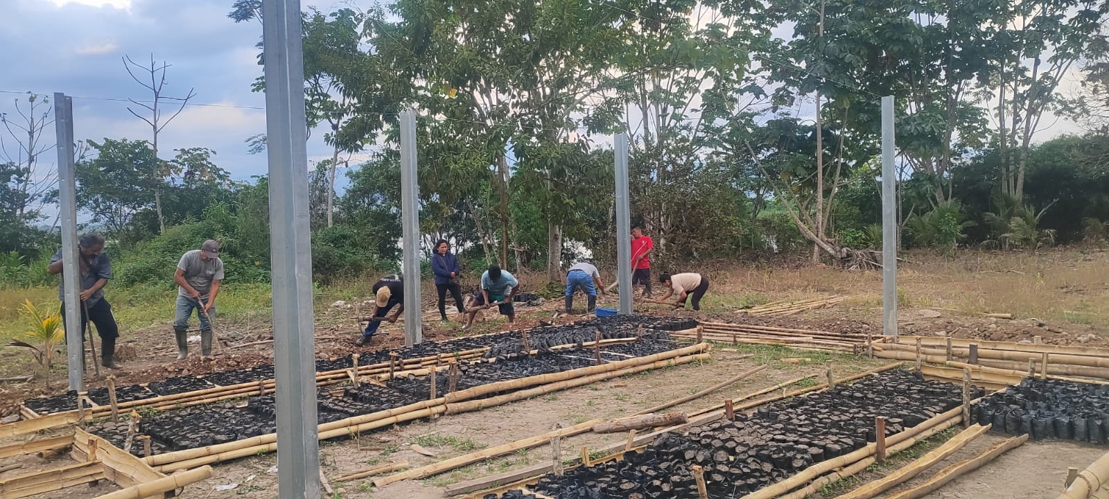 Proyecto 2024 - Imagen 1