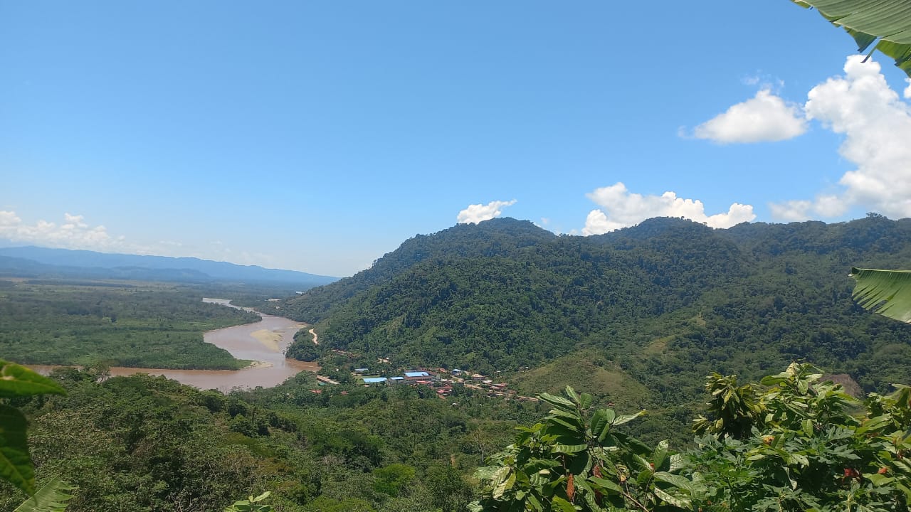 Proyecto 2024 - Imagen 2