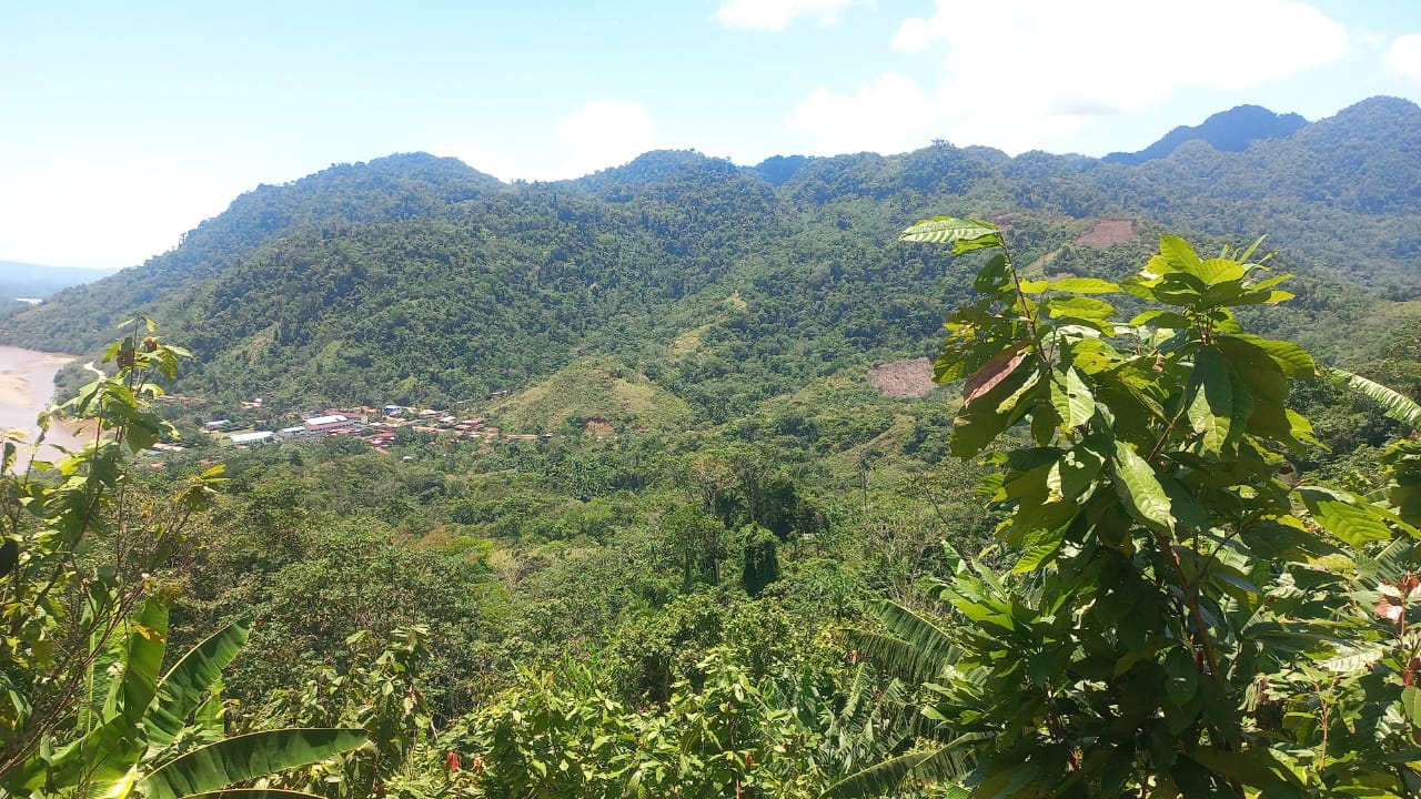 Proyecto 2024 - Imagen 5