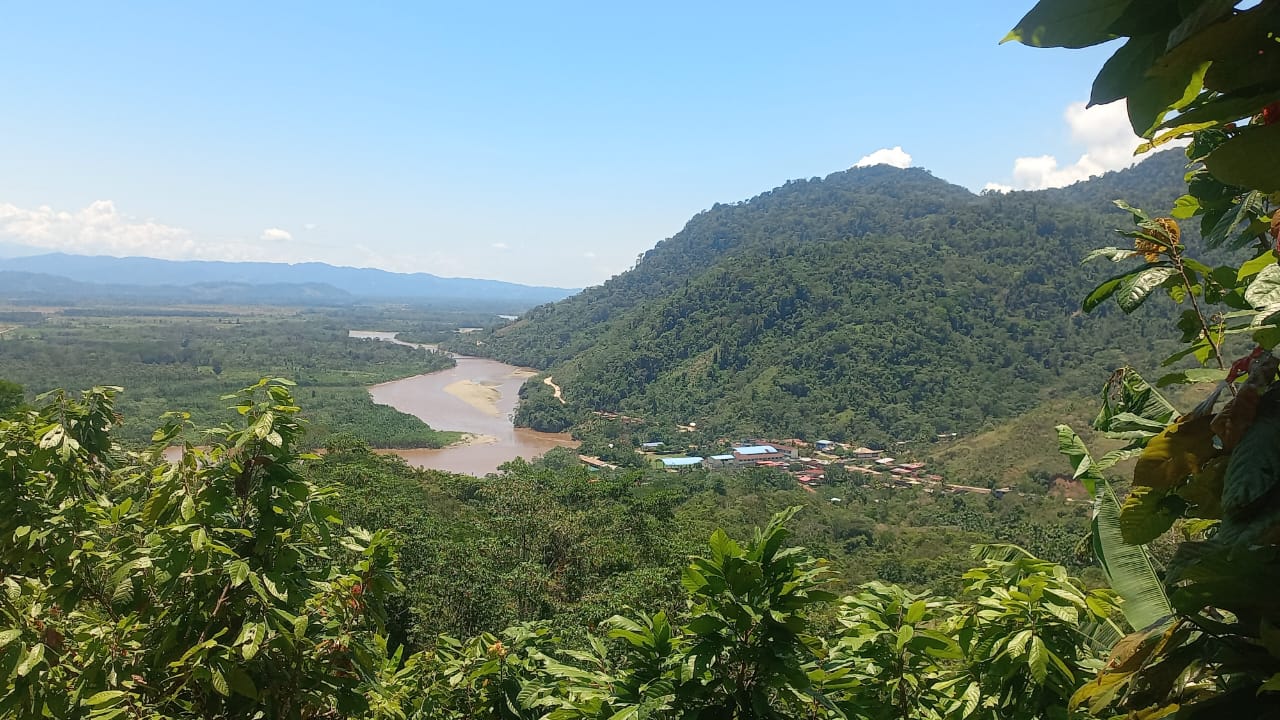 Proyecto 2024 - Imagen 6