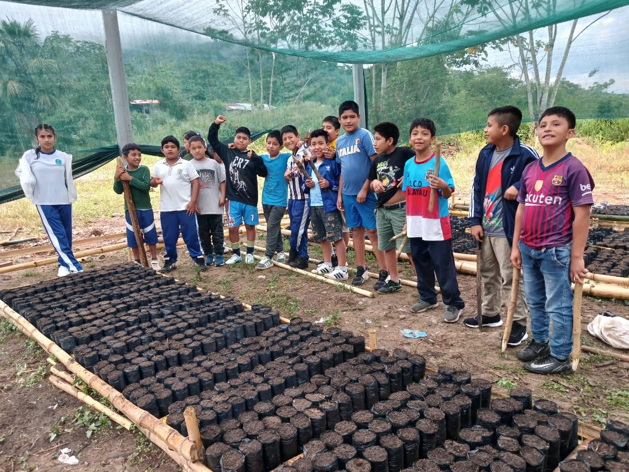 Proyecto 2025 - Imagen 2