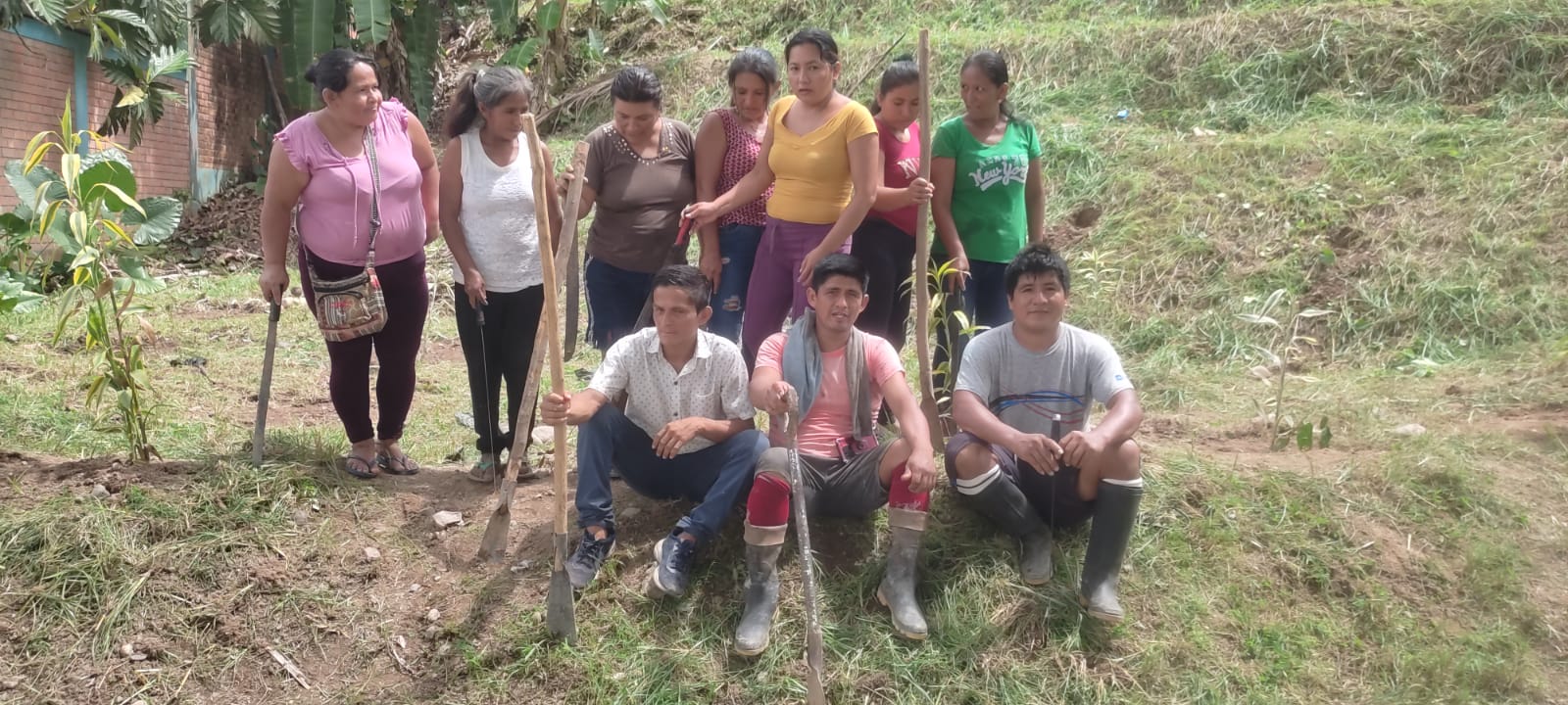 Proyecto 2025 - Imagen 4