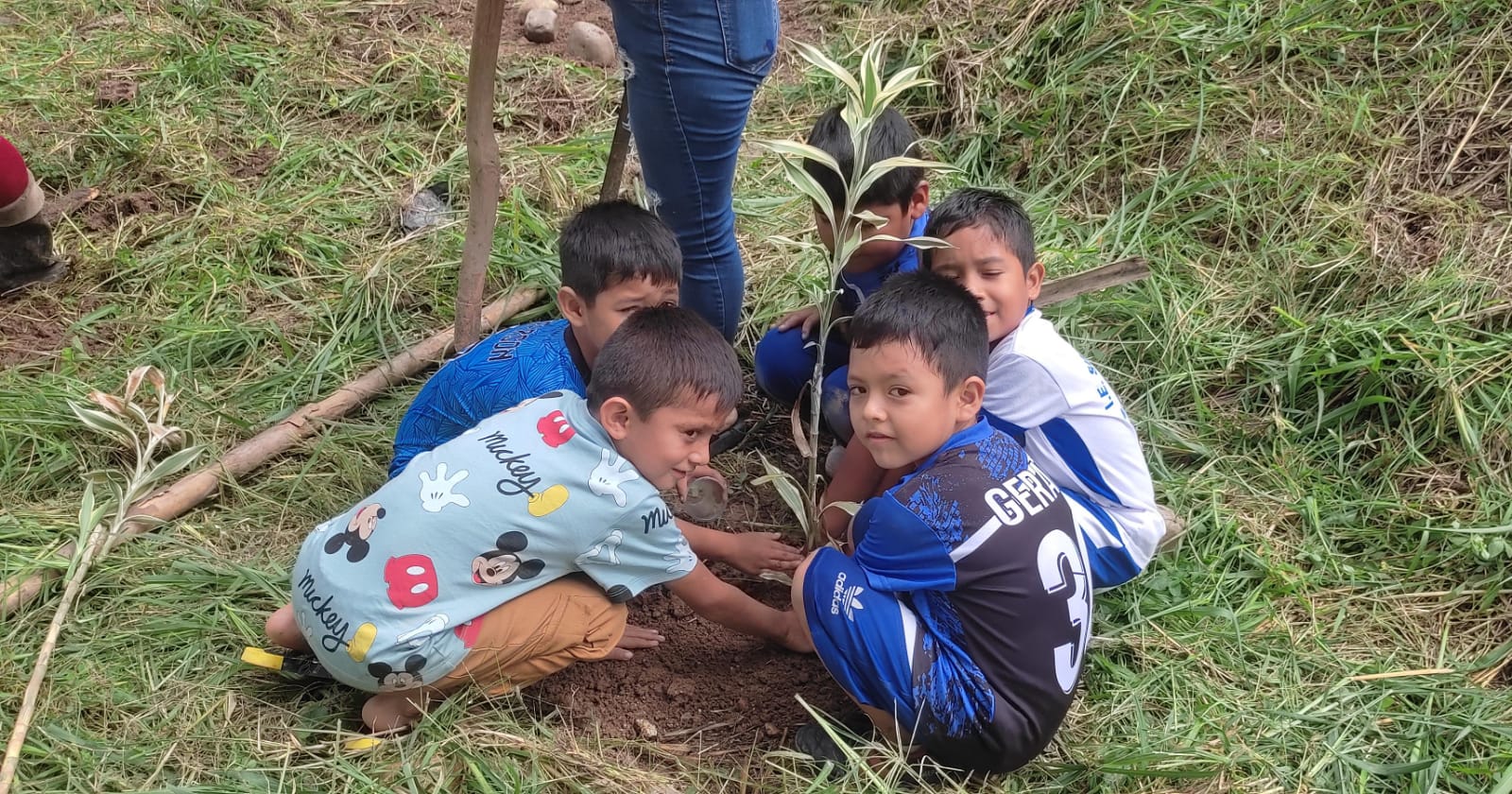 Proyecto 2025 - Imagen 5