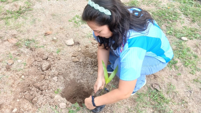 Jornadas de reforestación y arborización