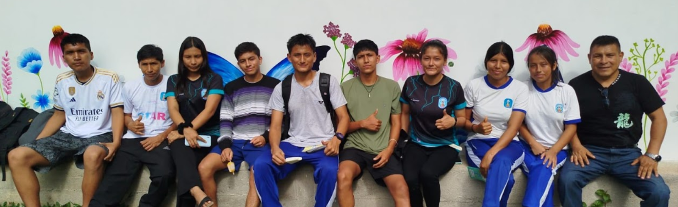 Etapa 3: Desarrollo